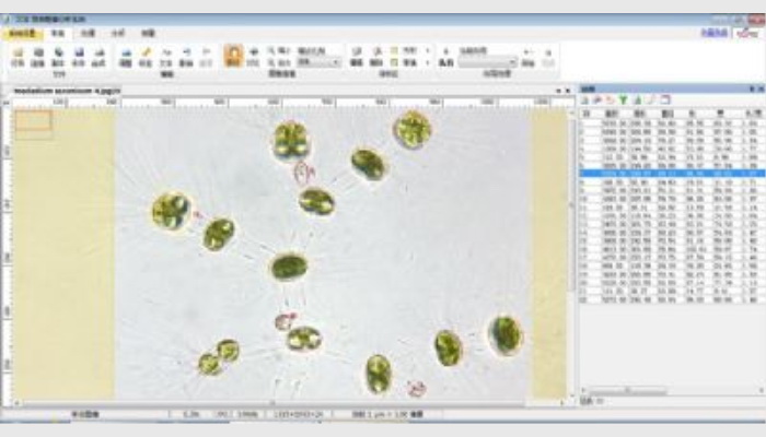 AlgaeC型浮游生物（藻類、浮游動物）智能鑒定計數(shù)儀