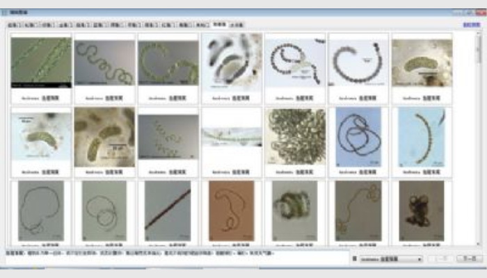 AlgaeC型浮游生物（藻類、浮游動物）智能鑒定計數(shù)儀