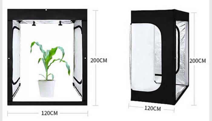 PhenoGA植物表型分析測量儀